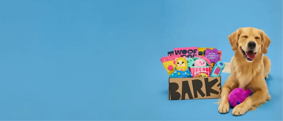 Unbox Joy for Your Dog